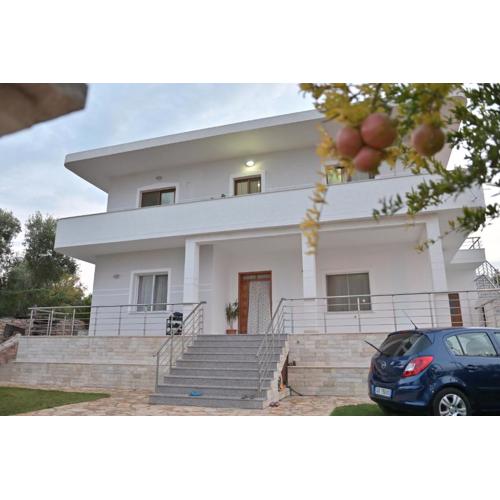 Mana Apartments