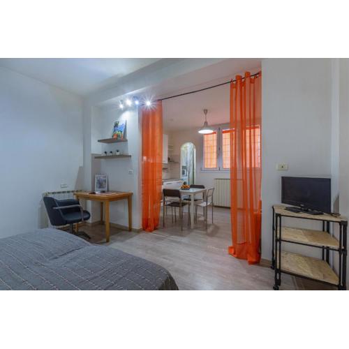 Mandala Central & Comfy Studio