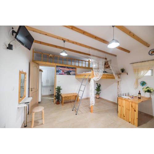 Manolis Studio