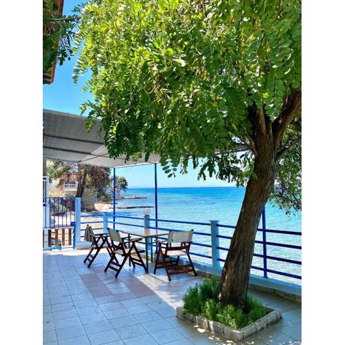 Manolis Studios Thassos
