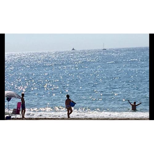MARBELLA - ALICATE BEACHFRONT Apartment-9