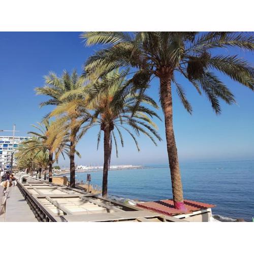 Marbella Center Ricardo Soriano 6 persons - Beach at 250 m