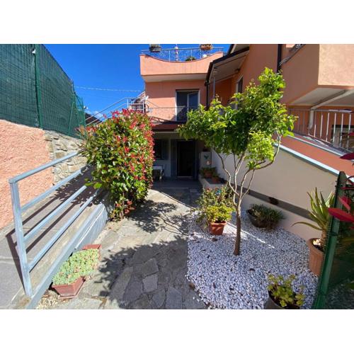 Marea casa
