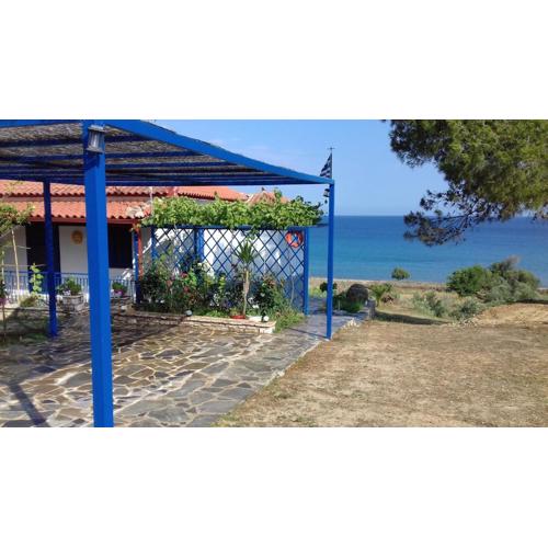 Margarita House
