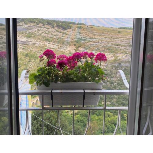 Mary Home Sicily