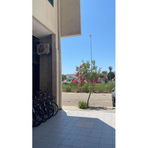 Mascarella Boutik Apartment N