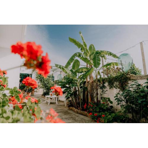 Masseria Agriturismo Il Sorriso Degli Ulivi - Dimora di Charme