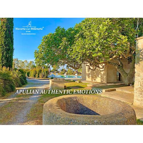 Masseria La Millenaria