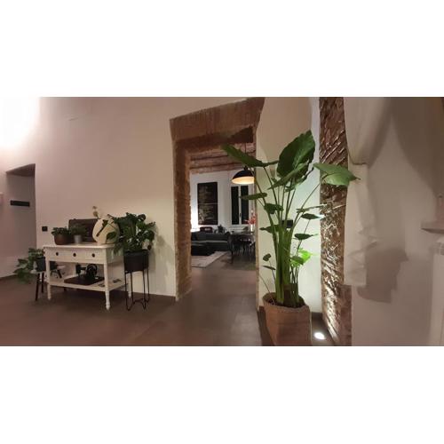 MATA Home