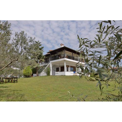 MaVitaPlace Olympus Olive Oasis House