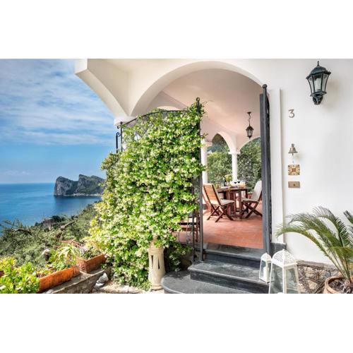 Medusa And The Seahorse Villa