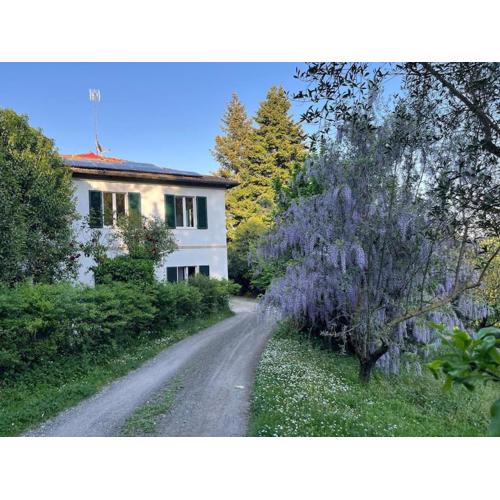 Mens Sana - Casa grande per gruppi nel verde