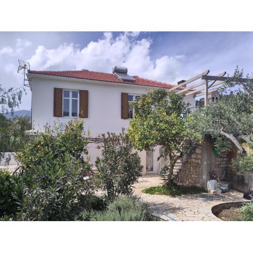 Metropolis Villa