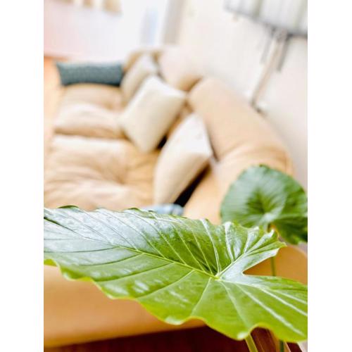 Mia Luxury apartments