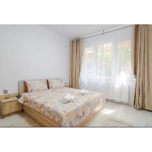 Miami 2BDR Central Apt near Vitosha BLVD w Wifi