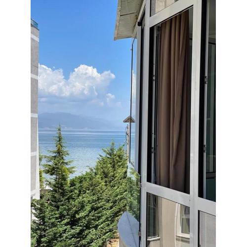 Mikpritja Pogradec, Tushemisht 1