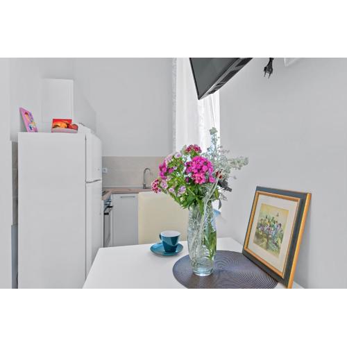 Mima City Center Balcony Studio 5 - Rijeka Rent