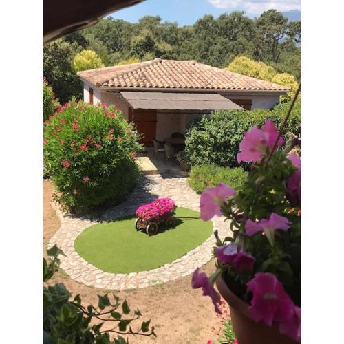 MINI-VILLA individuelle de 40 m2 (3 ETOILES)