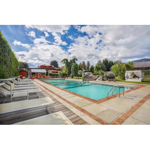 MIRTILLO di Home Hill