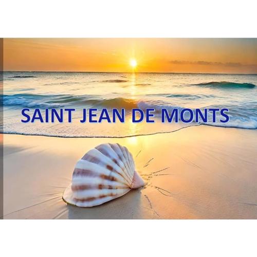Mobil home 2 chambres Saint-Jean-de-Monts