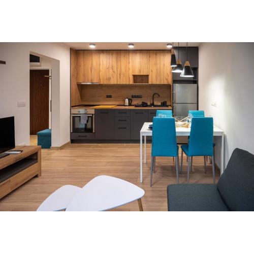 Modern and Cozy 1BDR Apartment in the City Center
