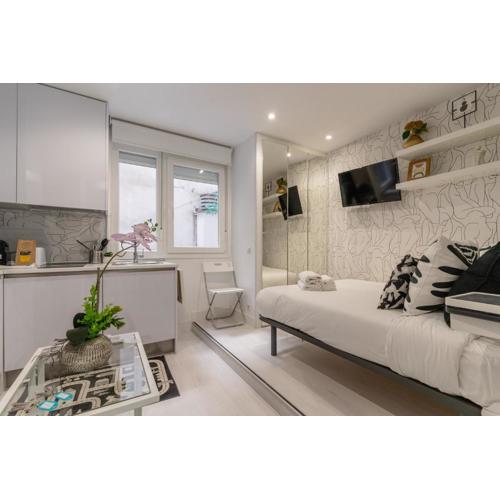 Modern studio-1Bathroom-Chueca
