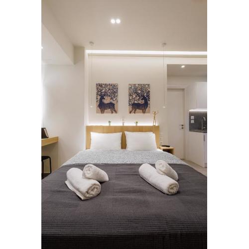 Modern & Stylish 1 BDR Apartment