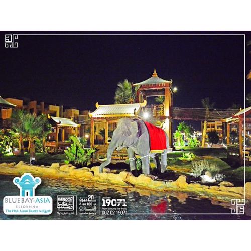 Mohamed Afifi BlueBay Asia - Families - Ground 2 Bed Rooms