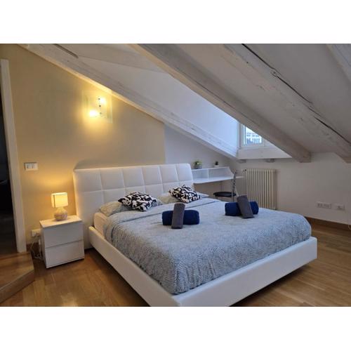 Mohho suite