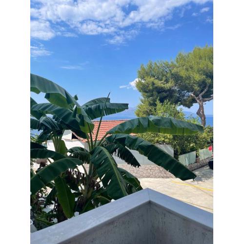 Mohito beach apartment 4