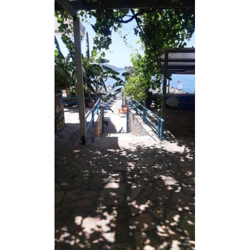 Mohito beach apartment 5