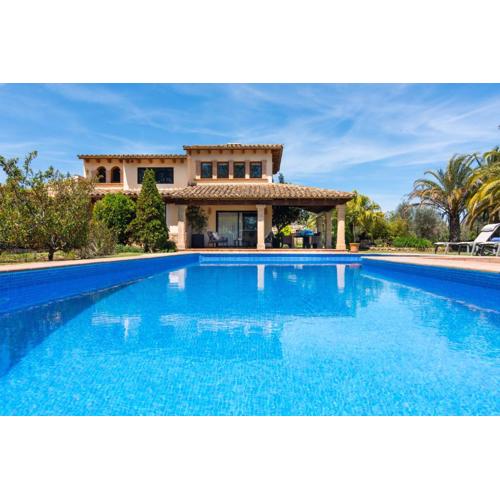 Moliner PREMIUM VILLA