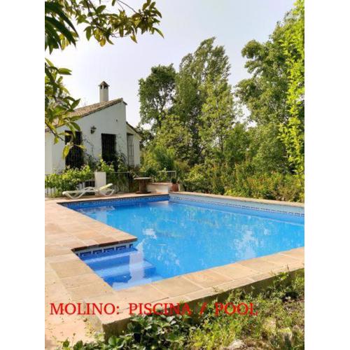 Molino Maroto & Patio del molino