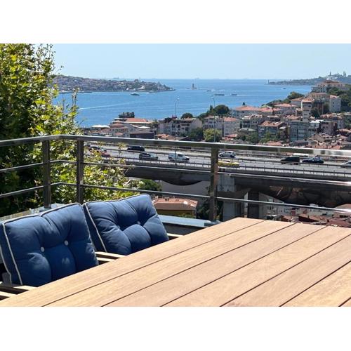 Mona Bosphorus