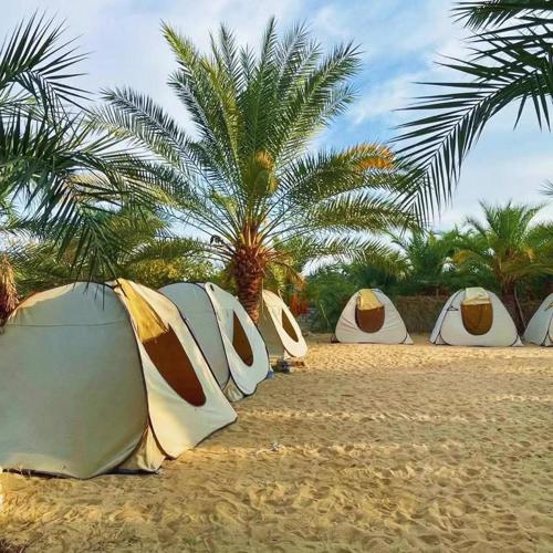 Monica Camp Siwa مونيكا كامب سيوة