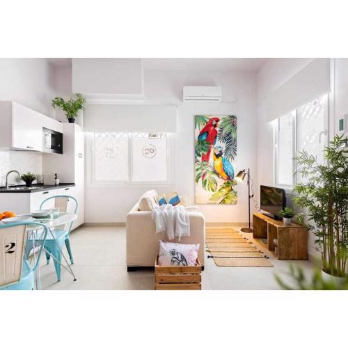 MonKeys Apartments PinoLoft Nuevo Torneo