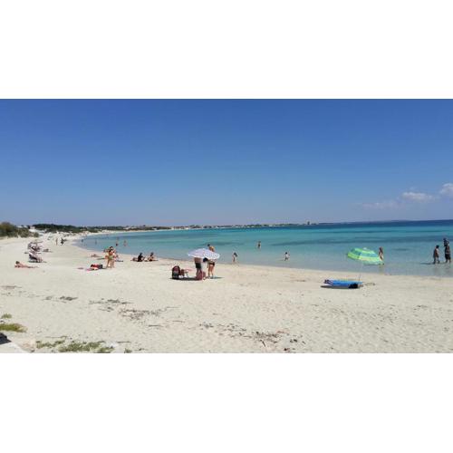 Monolocale nel verde a Torre Lapillo