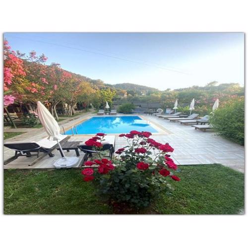 Montenegro Motel