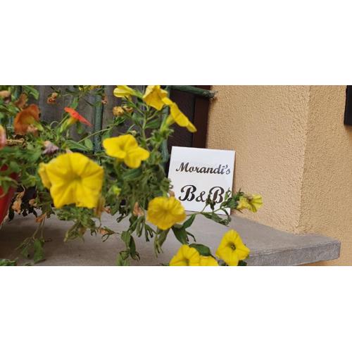 Morandi\