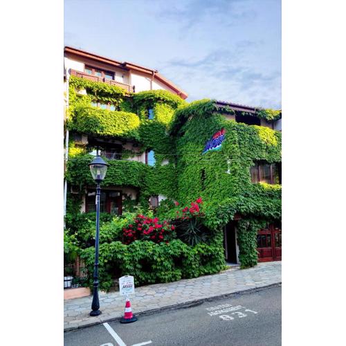 More Family Hotel