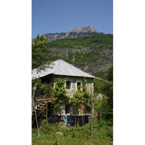 Motina River Guesthouse