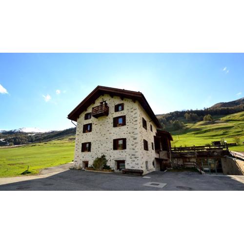 Mountain Chalet Milly