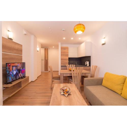 Mountain View apartment 541
