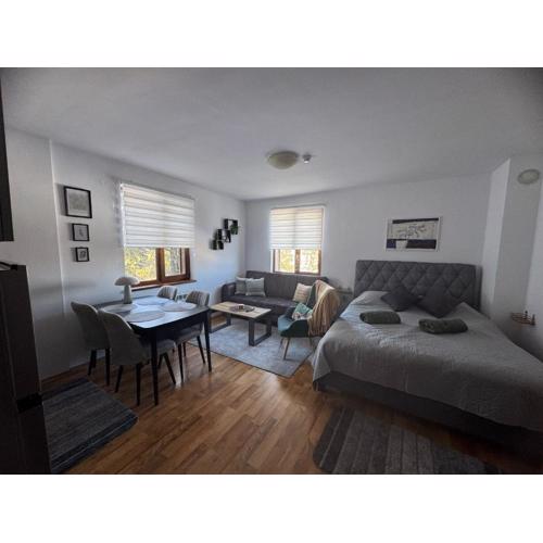 Mountain view Lux Apartment