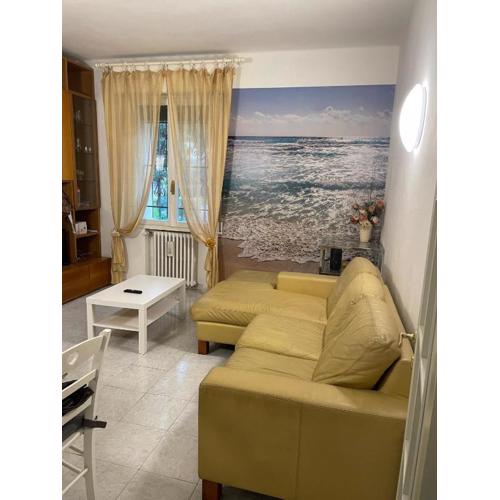 M&R Soft House