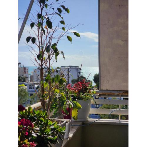 My Apartment