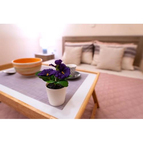Myrtle, city center renovated apartment