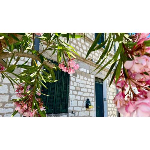 N275 - Numana, trilocale in centro con delizioso giardino