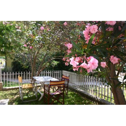 N303 - Numana, comodo trilocale con giardino