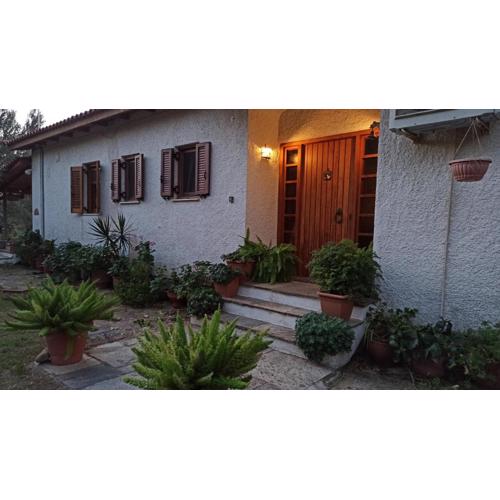 Nafpaktos cottage by the sea for travelers and dreamers!